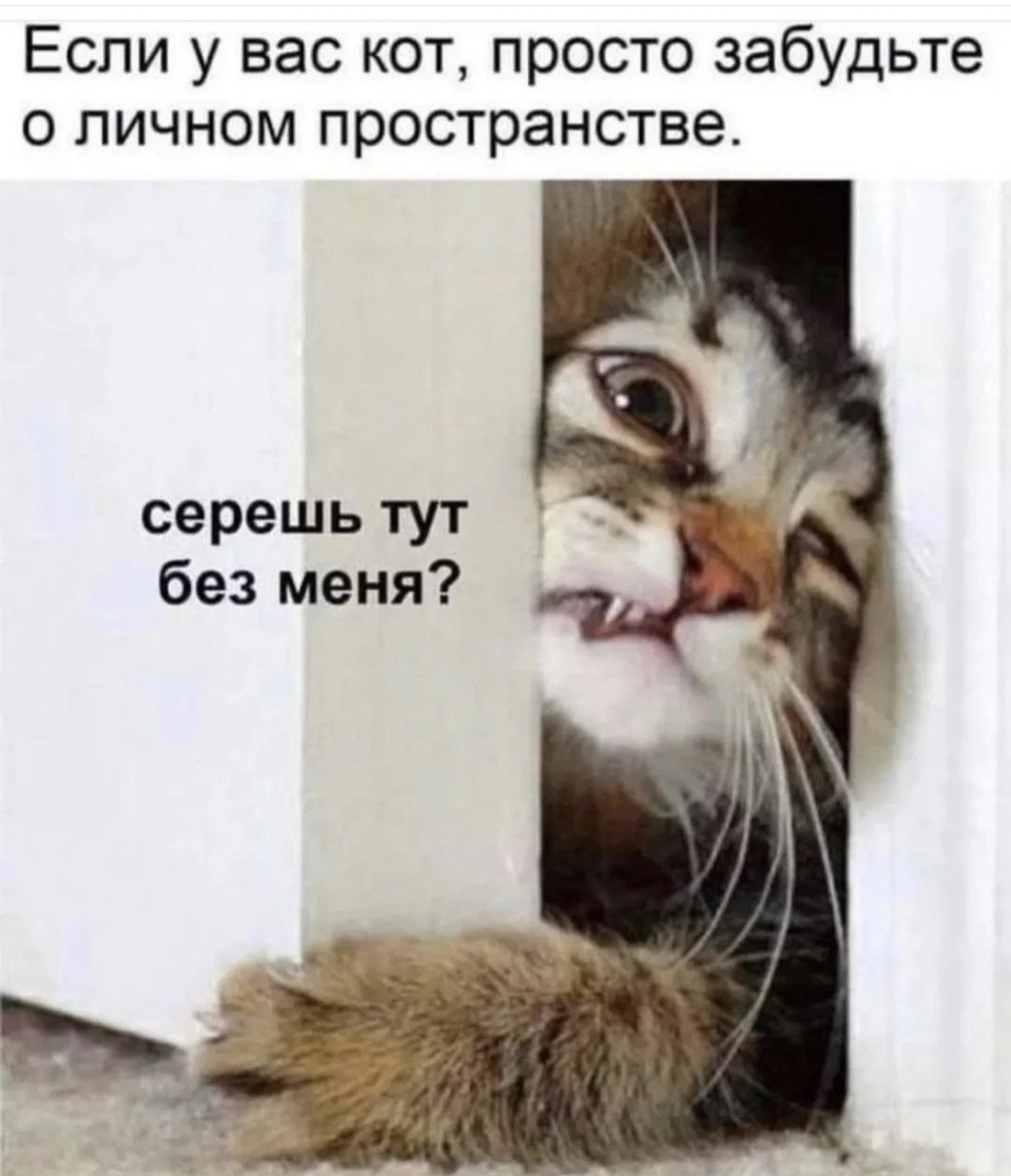 изображение_viber_2023-01-23_17-43-42-162.jpg