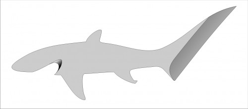 шейник акула4.jpg