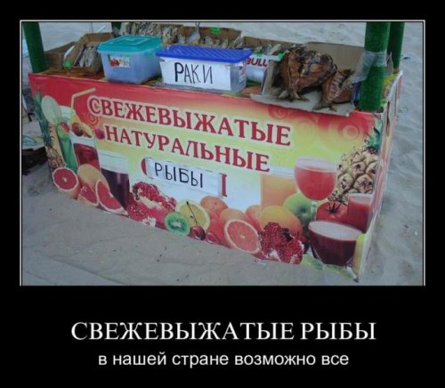 выжаты.jpg