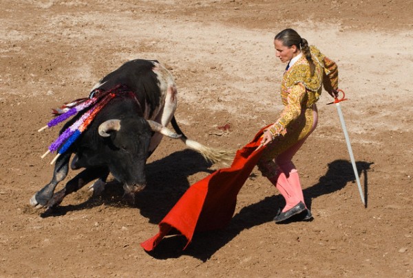 plasa-de-toros-19950.jpg