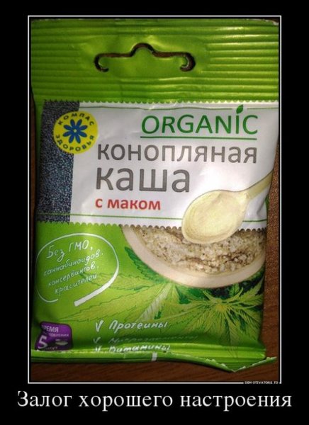 кашка.jpg