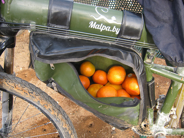 mandarinovye-plantatsii.jpg
