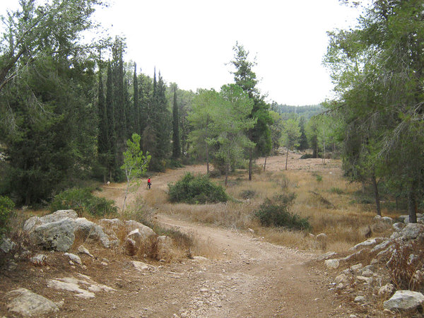 park-Neot-Kedumim.jpg